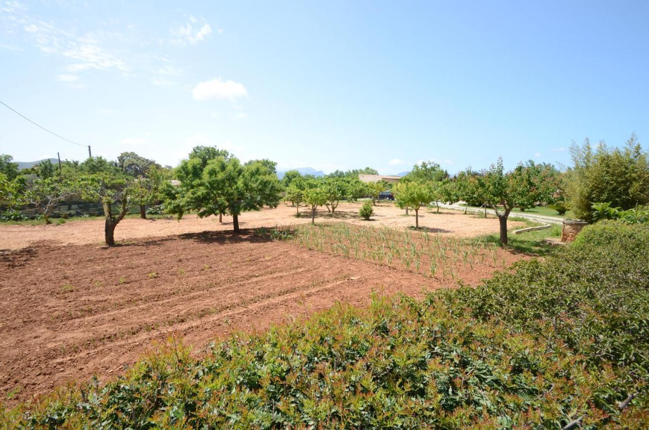 Villa Can Pau, Pool And Garden Close To The Beach 阿尔库迪亚港 外观 照片