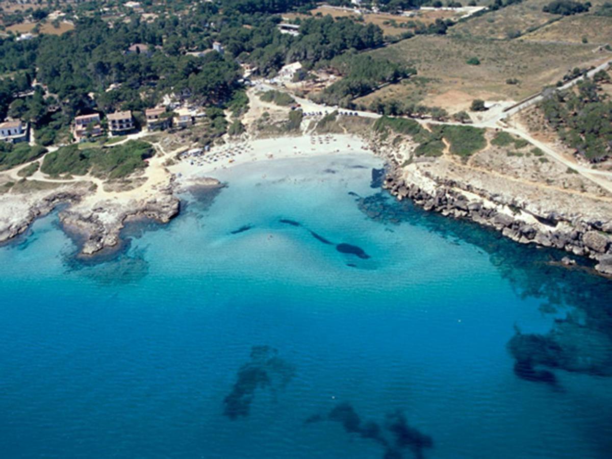 Villa Can Pau, Pool And Garden Close To The Beach 阿尔库迪亚港 外观 照片