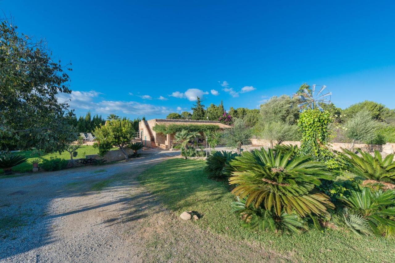 Villa Can Pau, Pool And Garden Close To The Beach 阿尔库迪亚港 外观 照片